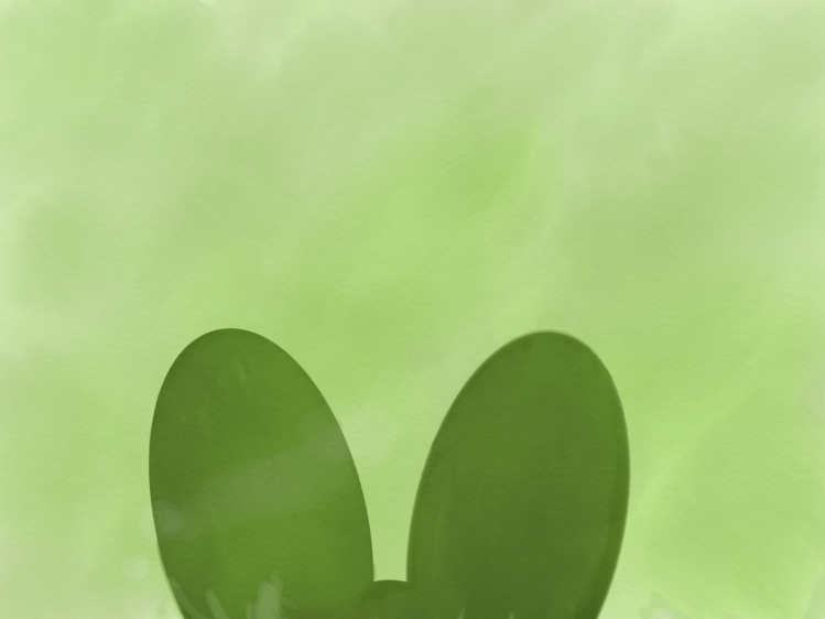 Murray the Rabbit-Boy