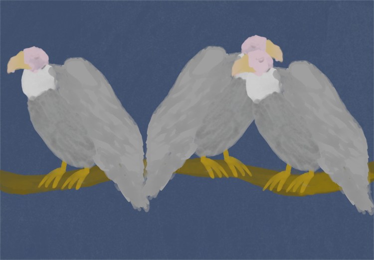 Three Chartreuse Buzzards