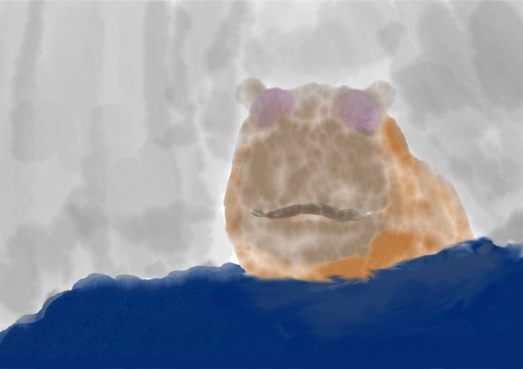 What Can Make a Hippopotamus&nbsp;Smile?